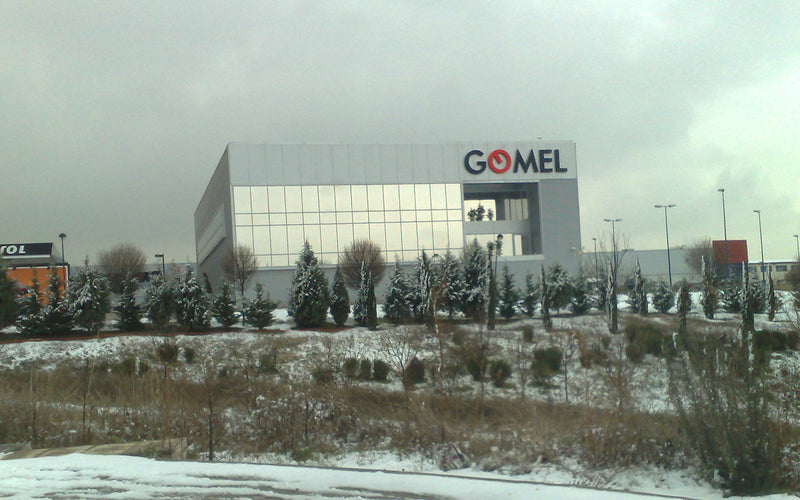 Gomel 2000